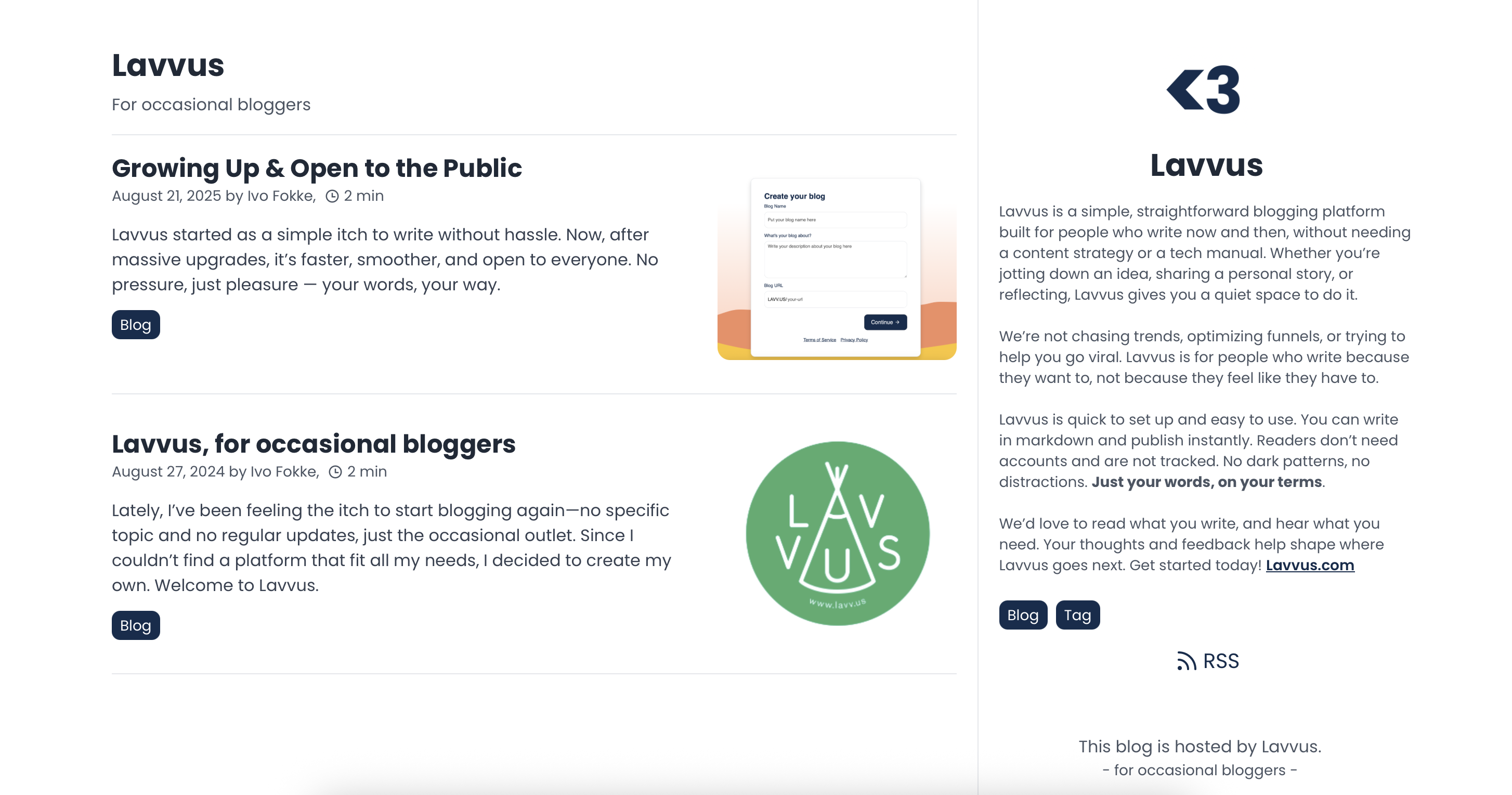 Lavvus newsletter and bio